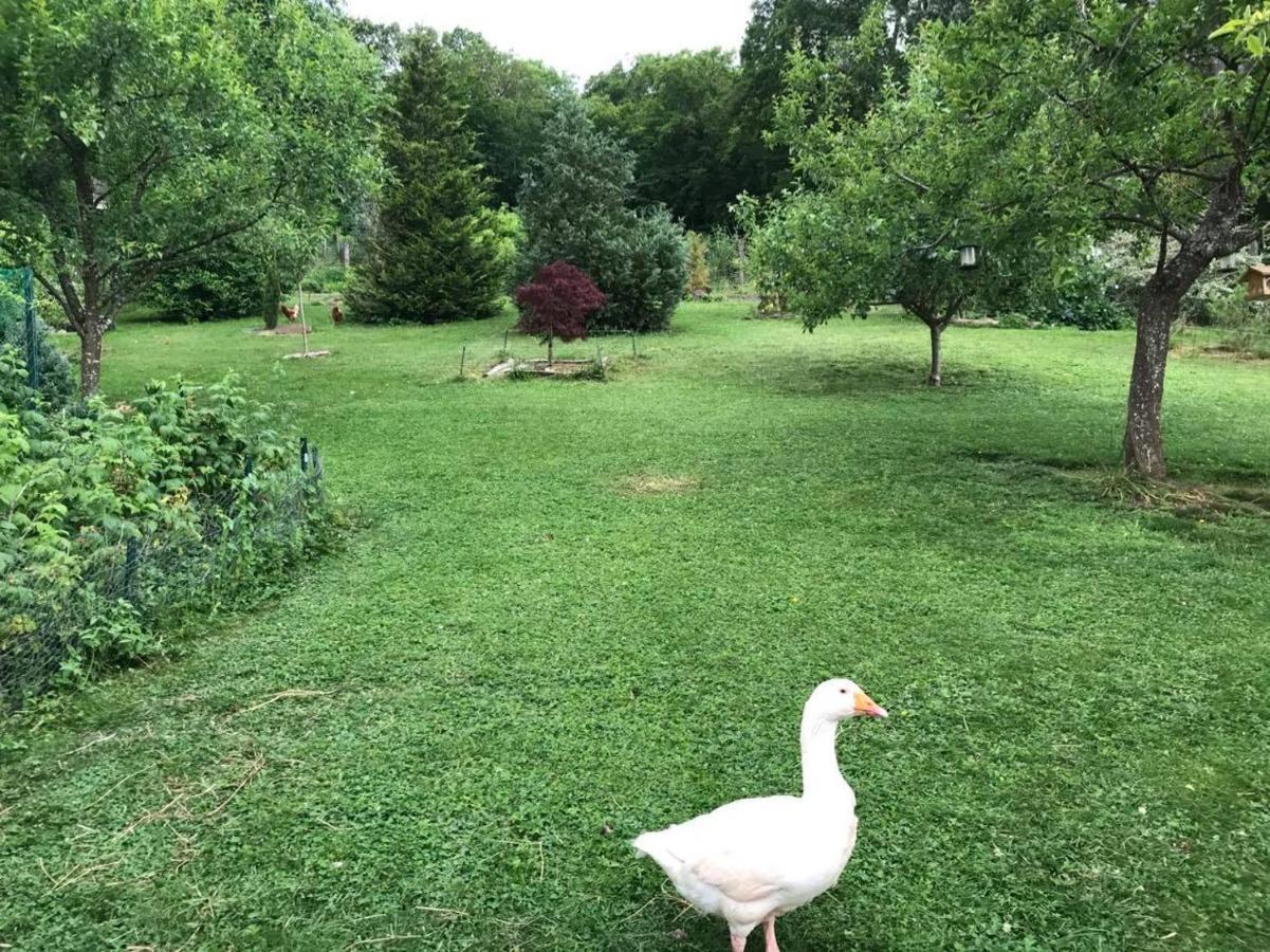 Le Chant Des Oiseaux - Au Pied De La Voie Cyclable Crevechamps Dış mekan fotoğraf