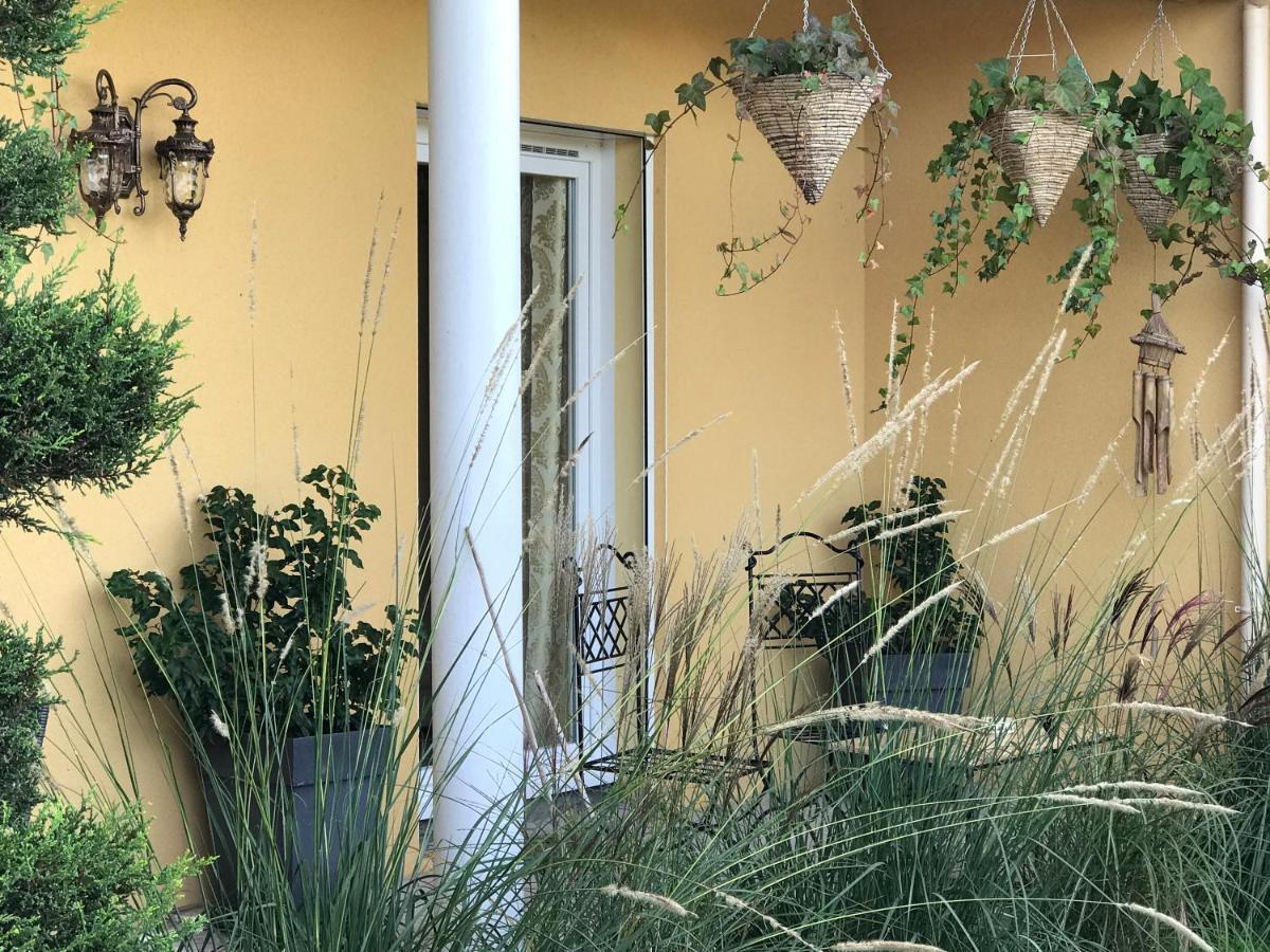 Le Chant Des Oiseaux - Au Pied De La Voie Cyclable Crevechamps Dış mekan fotoğraf