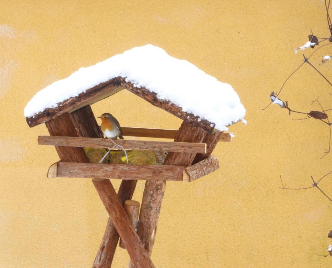 Le Chant Des Oiseaux - Au Pied De La Voie Cyclable Crevechamps Dış mekan fotoğraf